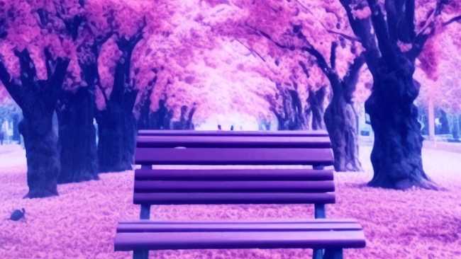 panchina viola epilessia