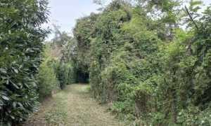 parco ciclabile manutenzione