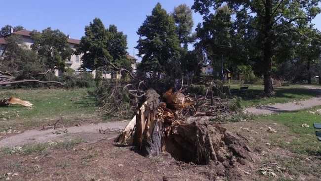 parco cigogna devastazione