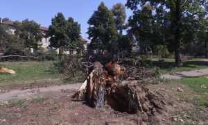 parco cigogna devastazione