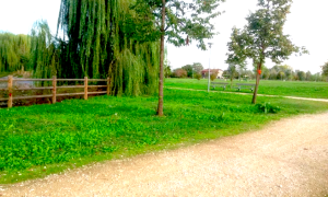 parco del terdoppio novara