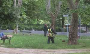 parco detenuti