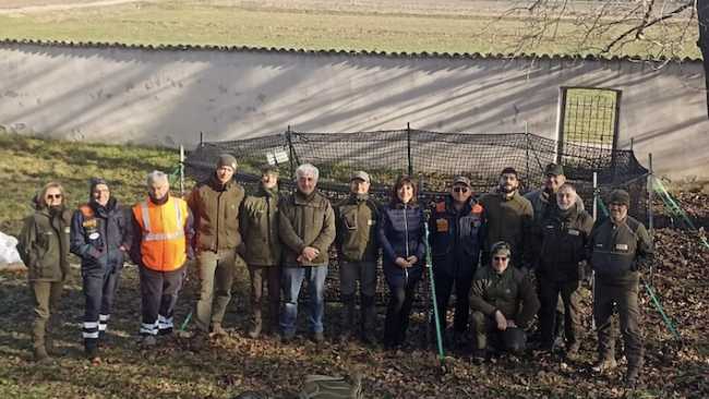 parco pig rig cinghiali