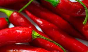 peperoncino