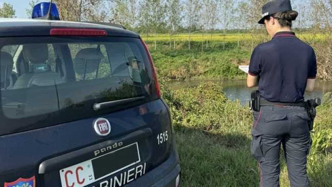 pioppicoltura Agogna