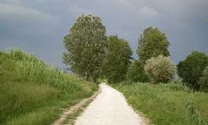 pista ciclabile