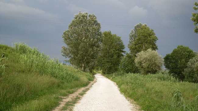 pista ciclabile
