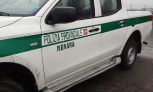 polizia provincia auto