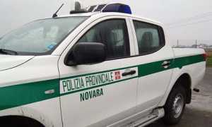 polizia provinciale
