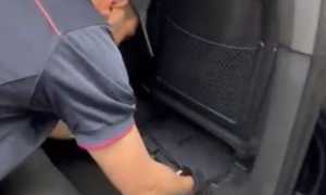 polizia ricerca stupefacenti auto