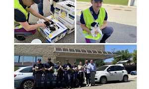 polstrada cagnolini salvati giu 25