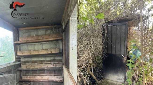 postazione bracconaggio romentino