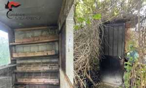 postazione bracconaggio romentino