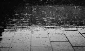 rain 122691 640