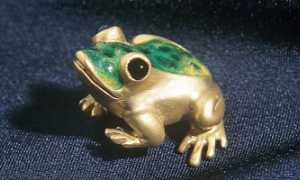 rana oro casalbeltrame