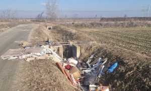 romentino rifiuti beccati