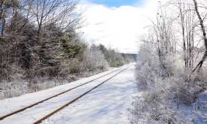 rotaie neve