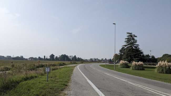 rotatoria cameri sp 2