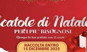 scatole natale novara 25