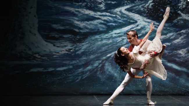 schiaccianoci coccia