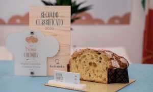 secondo classificato creativa