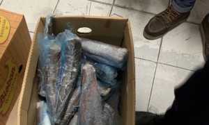 sequestro market novara