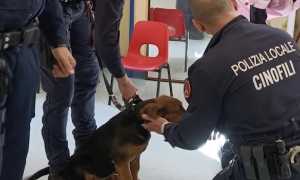 sicurezza trecate scuole