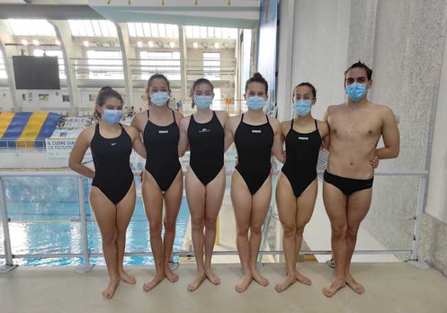 sincronette Libertas