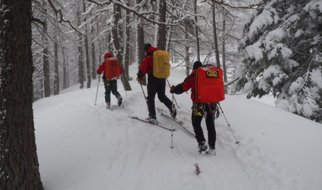 soccorso neve uomini sci fondo bosco ricerca