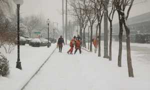 spalare neve