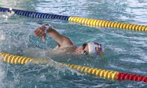 swimming 2323054 1920