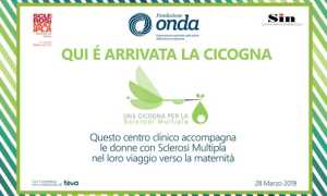 targa onda modificato 1