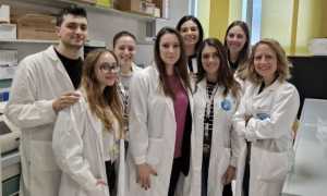 team upo ricerca mel