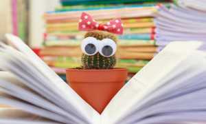 thumbnail libri bimbi