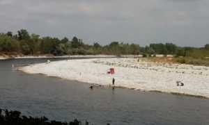 ticino green festival