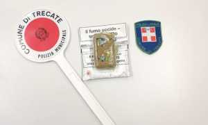 trecate arresto molesto