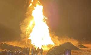 trecate falo s antonio