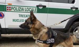 trecate nucle cinofilo