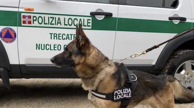 trecate nucle cinofilo