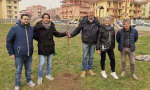 trecate piantumazione 2