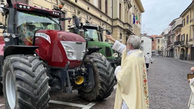 trecate s antonio 24 2