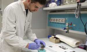 universita laboratorio