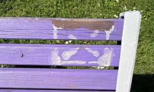 vandalismo panchina neo n