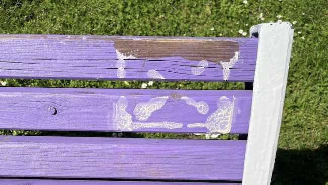 vandalismo panchina neo n