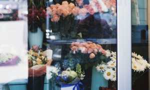 vetrina fiori