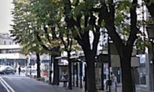 viale garibaldi repertorio