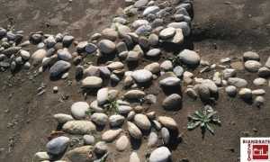 villaggio romano biandrate