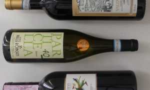 vini calice oro