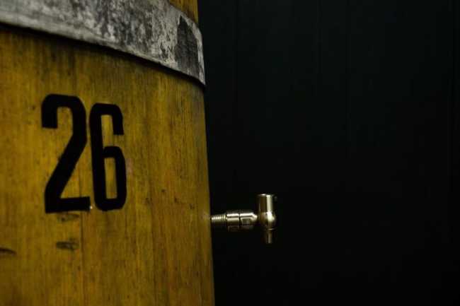 visionary mostra jill mathis