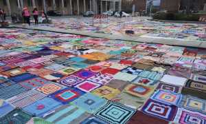 viva vittoria repertorio 24